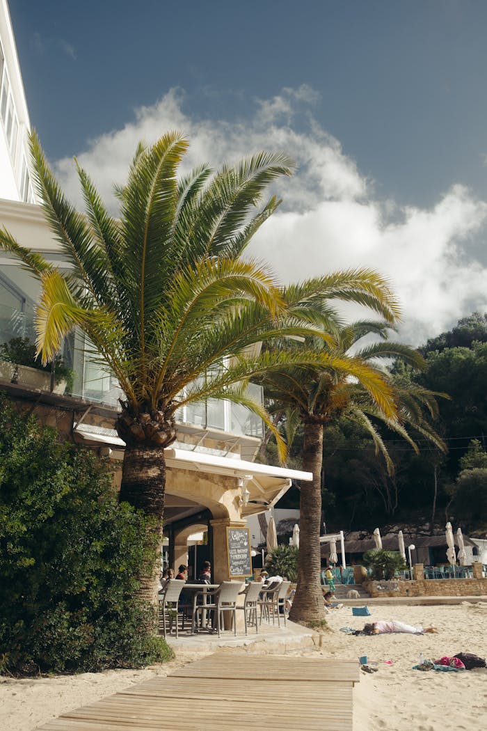 Relax at a luxurious beachfront resort in Santanyí, Spain, surrounded by palm trees and ocean views.