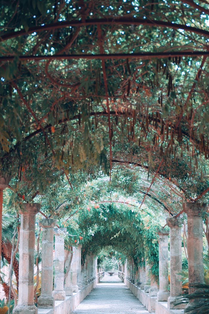 Empty columned walkway surrounded by green lush plants and vines in Jardines de Alfabia garden located in Mallorca