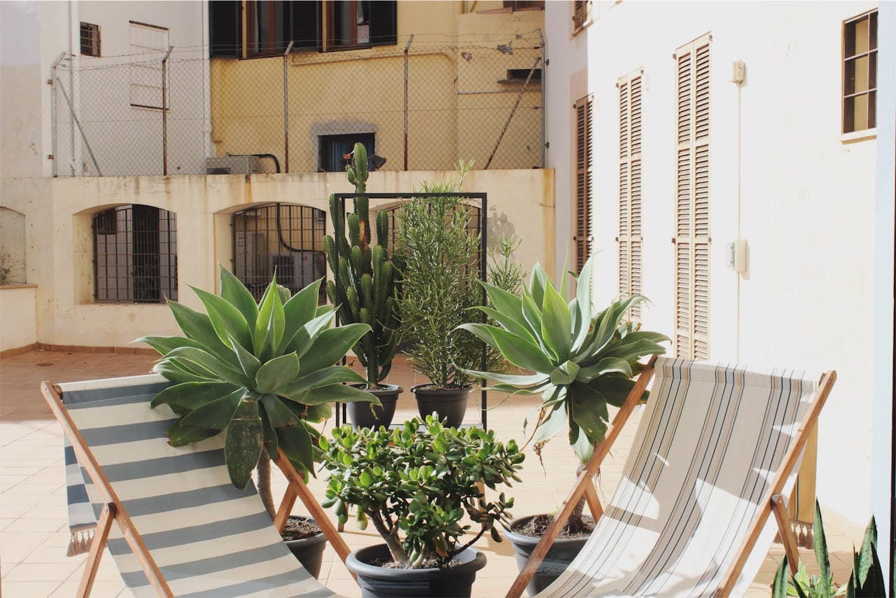 A serene outdoor patio in Palma, Spain, featuring lush potted plants and wooden deck chairs in sunlight.